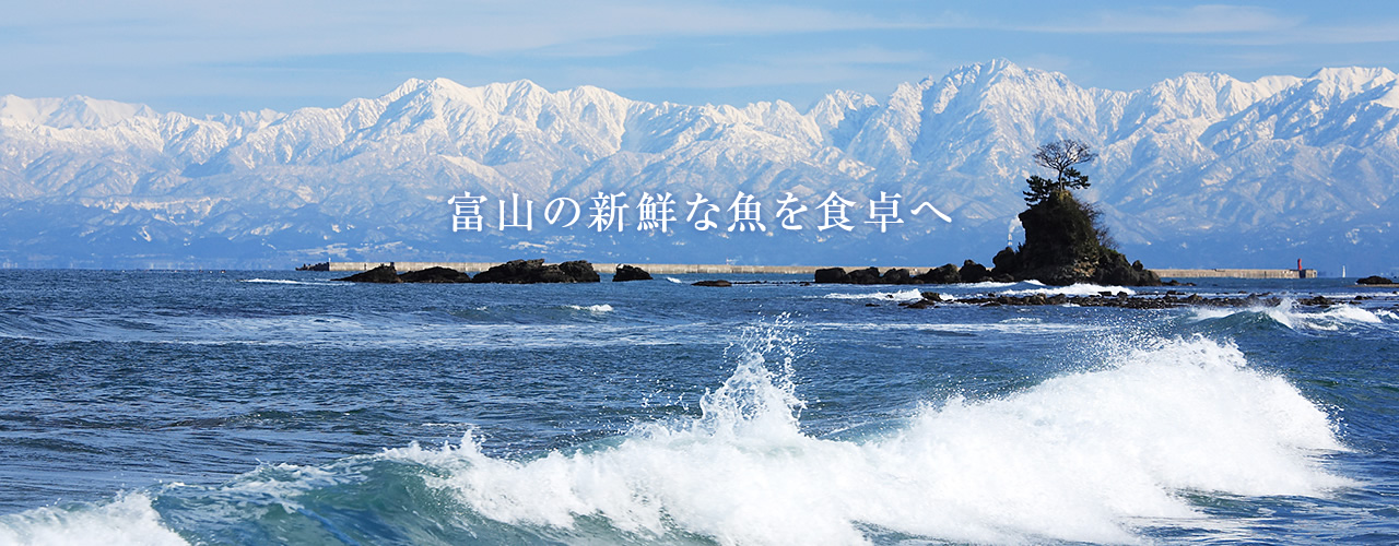 富山の新鮮な魚を食卓へ